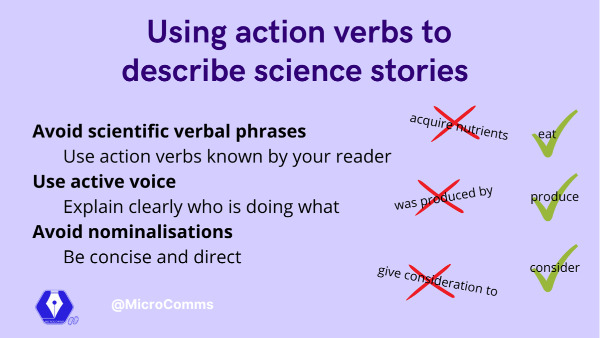 action verbs infographic