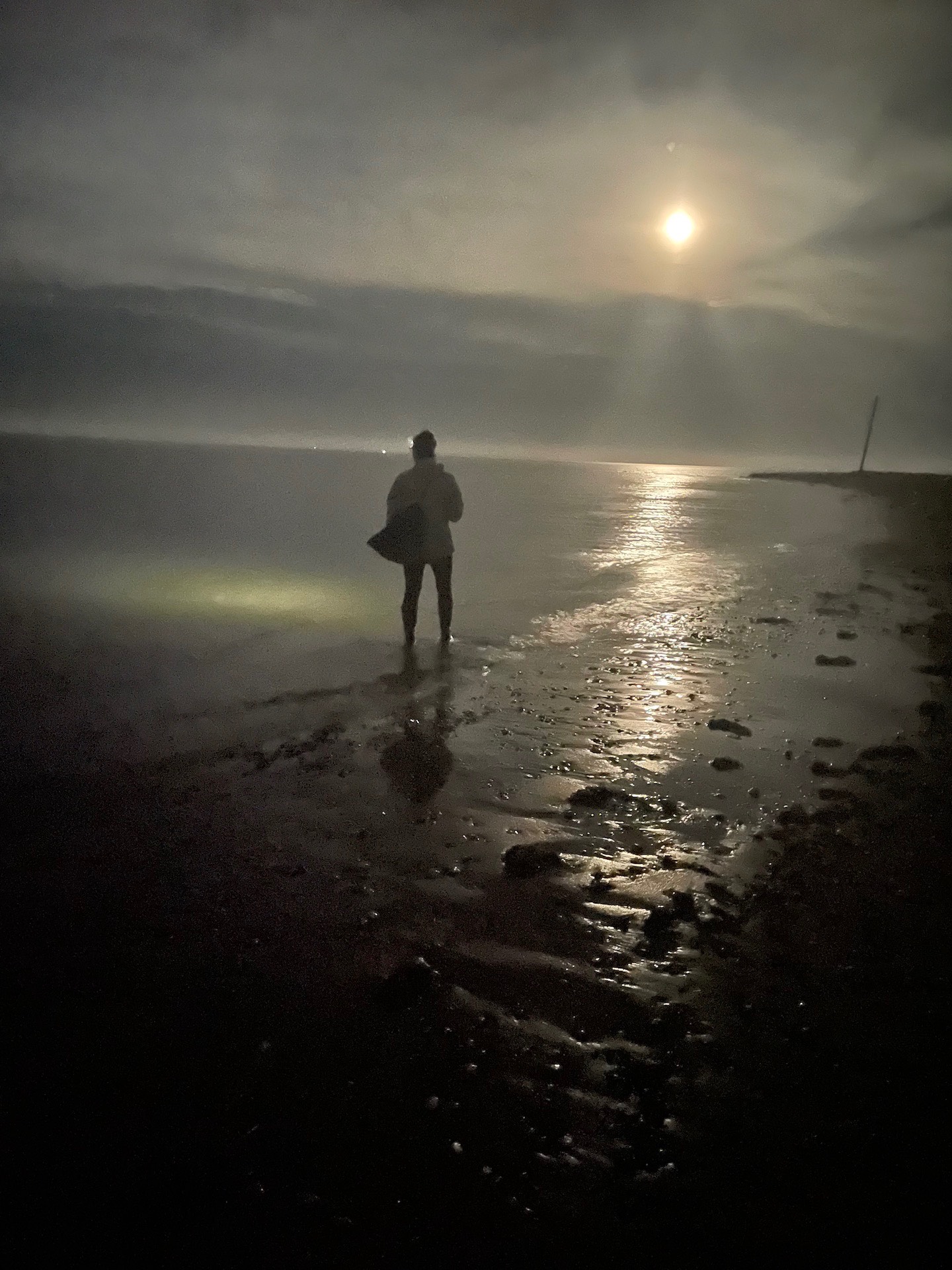 Silhouette of person standing on a beach at sunset