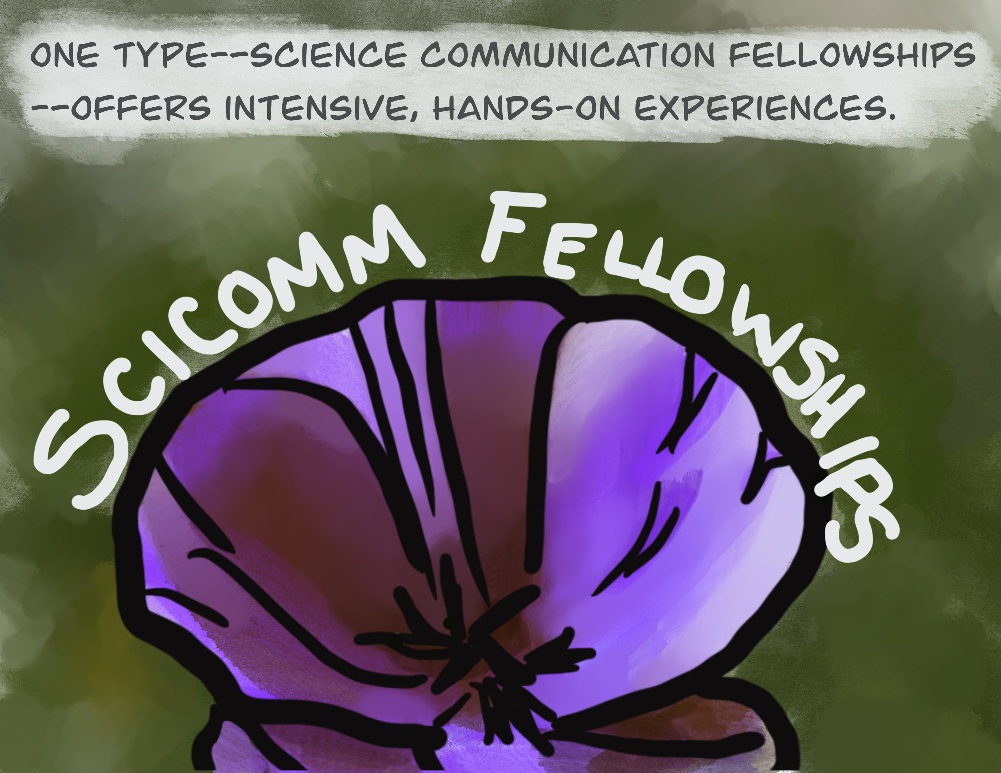 One type - science communication fellowships - offers intensive, hands-on experiences.