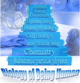 Biology of Being Human