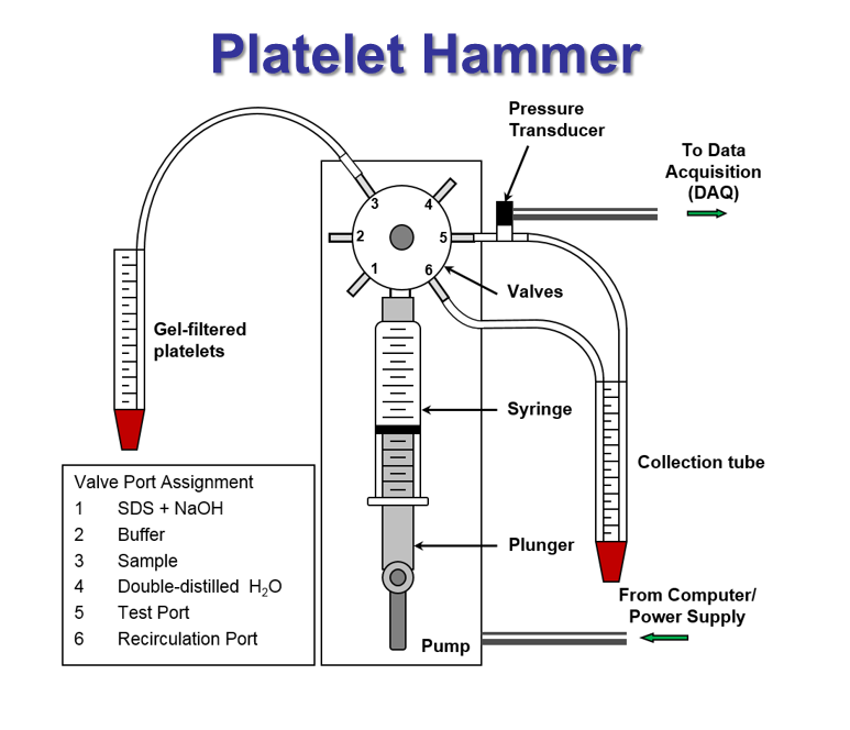 Platelet Hammer