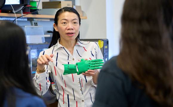 Biomedical Engineering Faculty