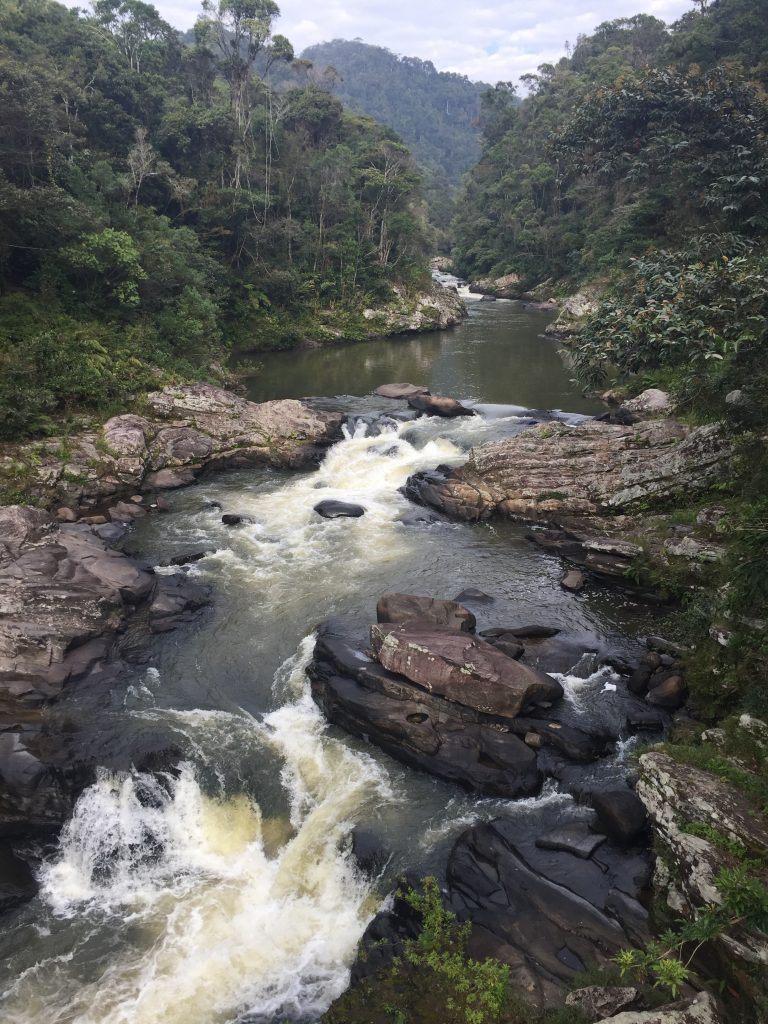 RNF Waterfall