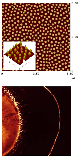 Nanocarbon sensor