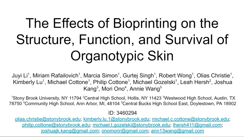 The Effects of Bioprinting on the Structure, Function, and Survival of Organotypic Skin