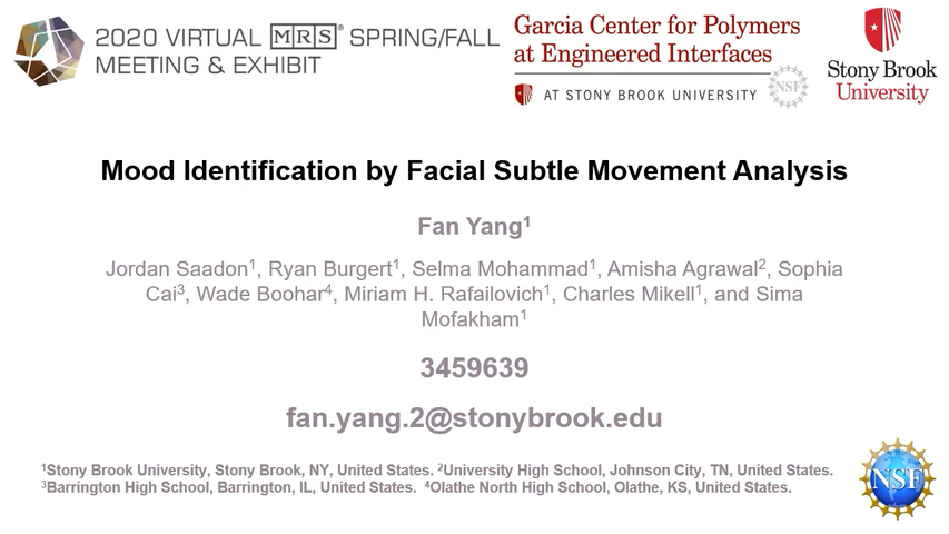 Mood Identification by Facial Subtle Movement Analysis
