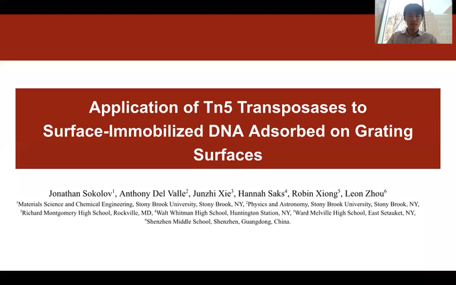 Application of Tn5 Transposases to Surface-Immobilized DNA Adsorbed on Grating Surfaces