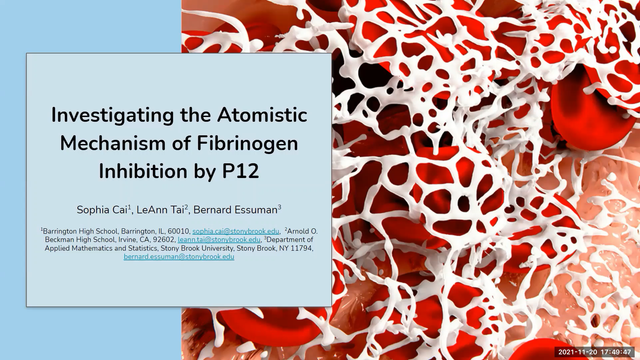 Investigating the Atomistic Mechanism of Fibrinogen Inhibition by P12