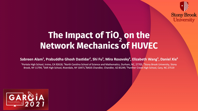 The Impact of TiO2 on the Network Mechanics of HUVEC