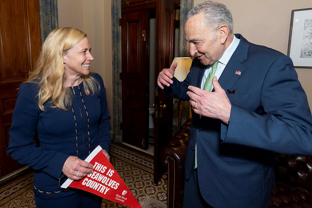 mcinnis and schumer