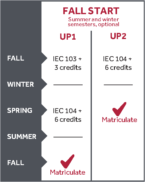 Fall Timeline