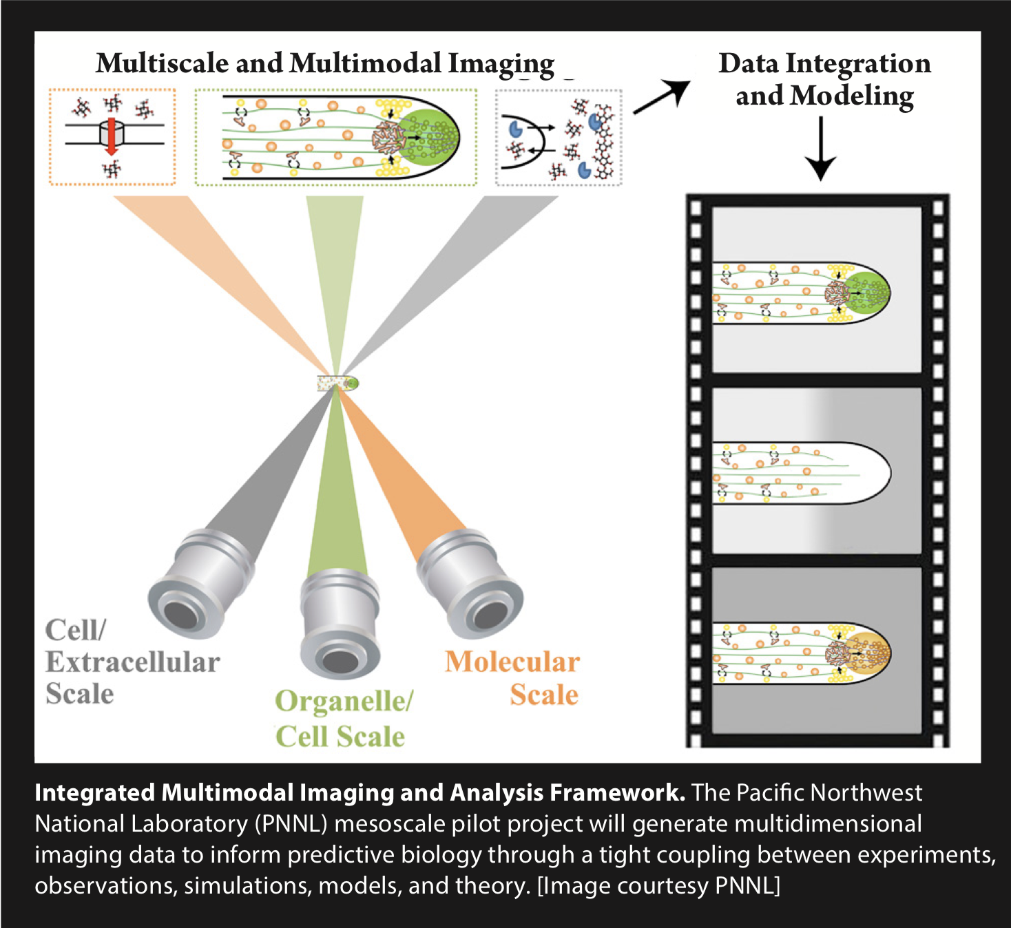 multiscale imaging