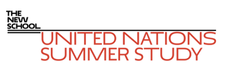 UN Summer Study logo