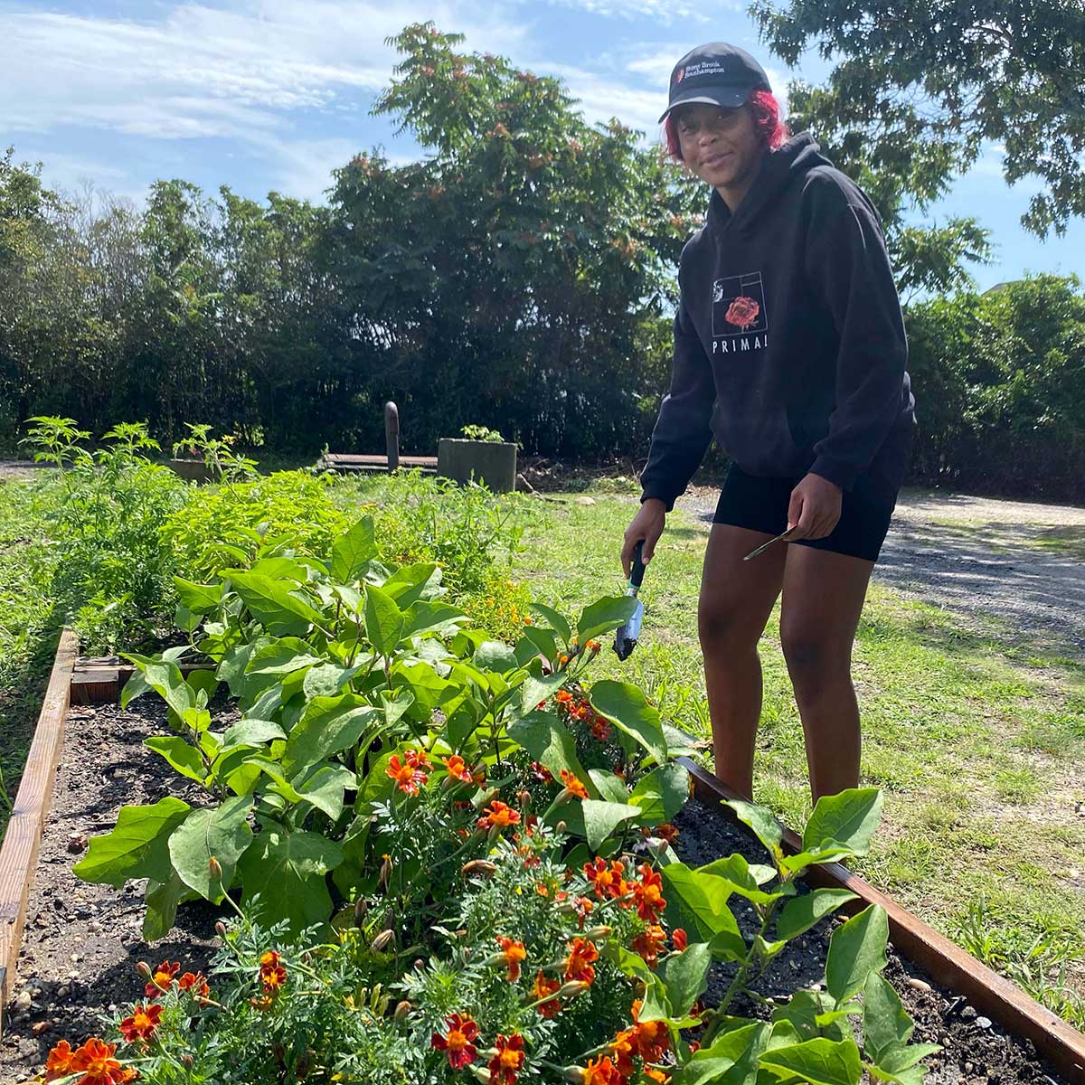 Food Lab gardens