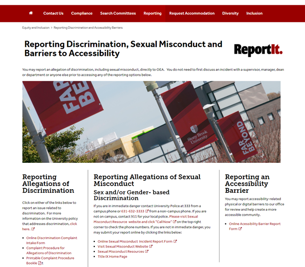 Report it webpage screenshot
