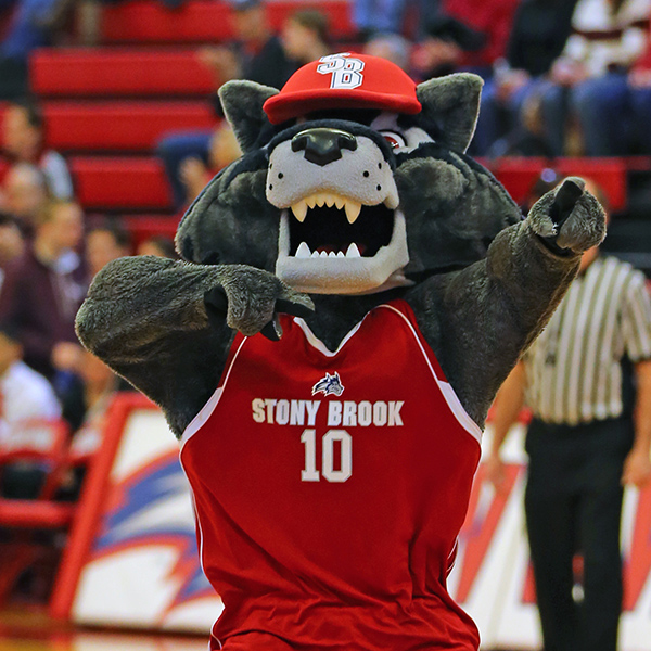image of stony brook university's mascot, wolfie, pointing to the camera