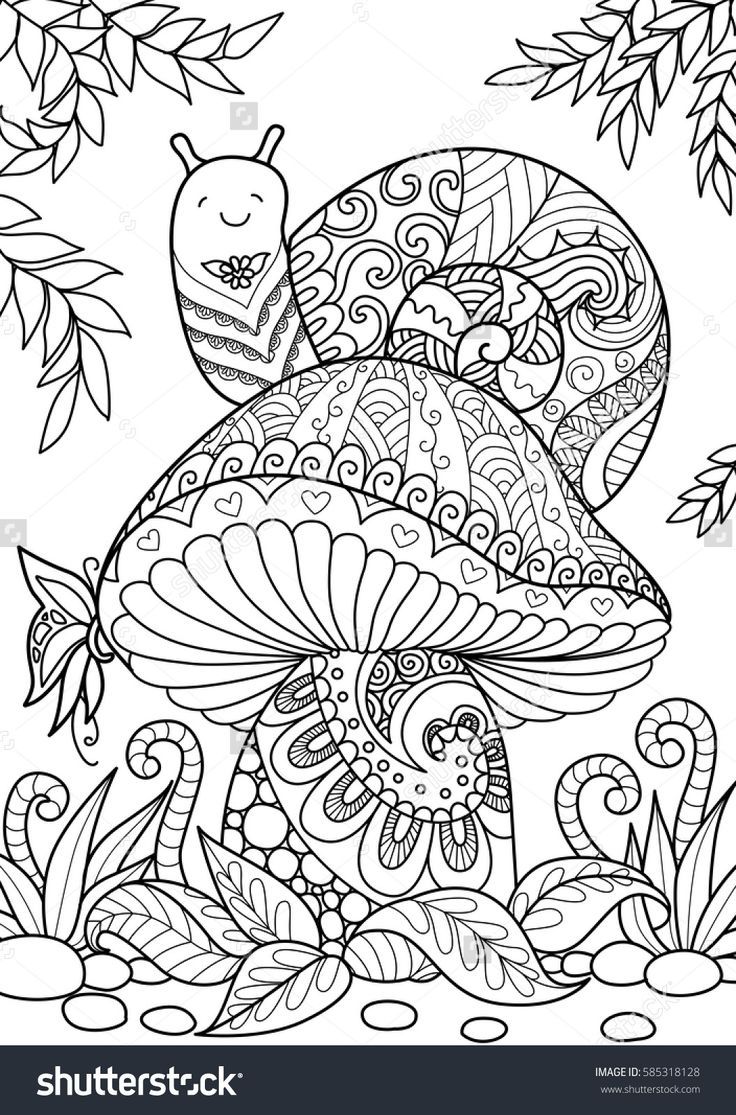 Coloring Sheet - Snail