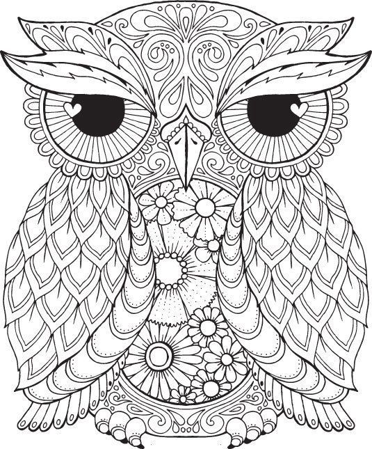 Coloring Sheet Owl