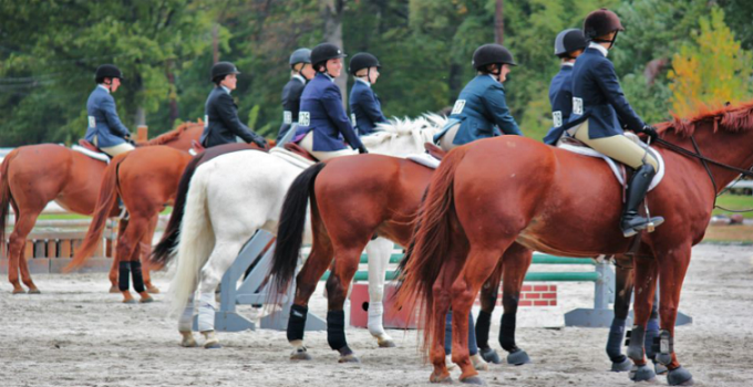 equestrian team
